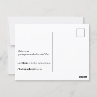 Li Garden Series: Where Stories Reside Postcard