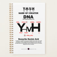 Liaison chimique YHVH-DNA