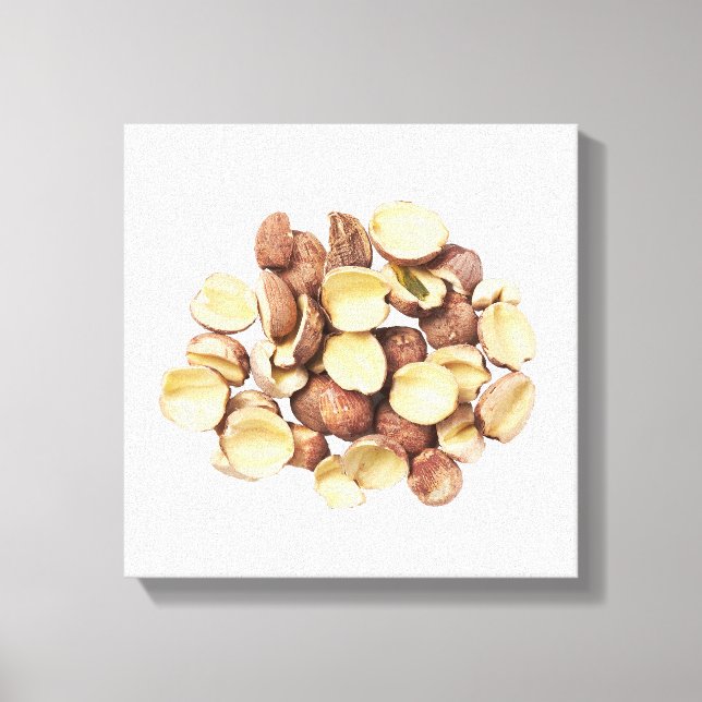 Lian Zi Canvas Print (Front)