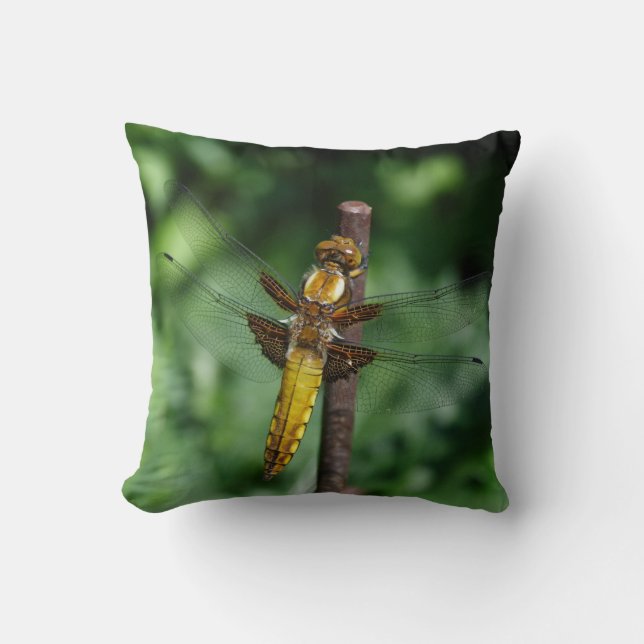 Libellula depressa throw pillow (Front)
