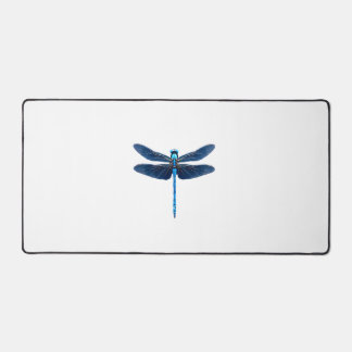 Libellule bleue - Insecte Faune et flore Amateur d