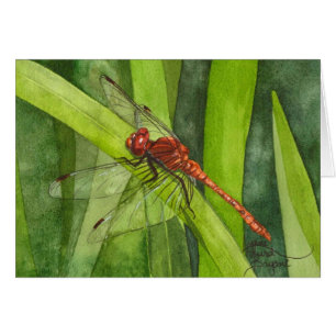 Libellule de février