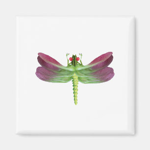 Libellule Magnet