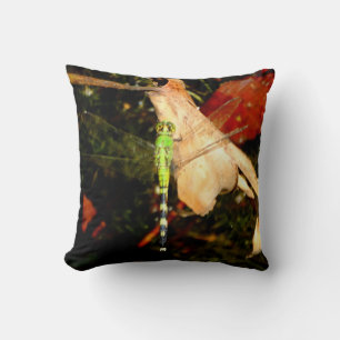 libellule verte, coussin noir