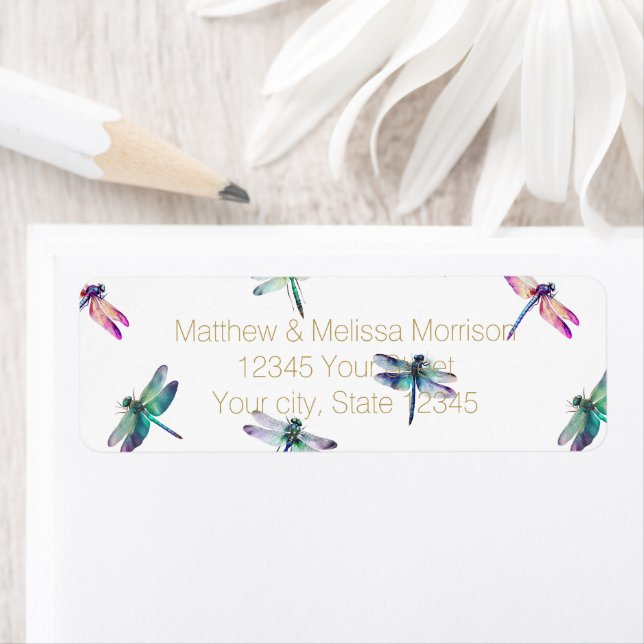 libellules (En situation)