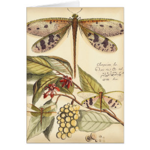Libellules avec le feuille et le fruit