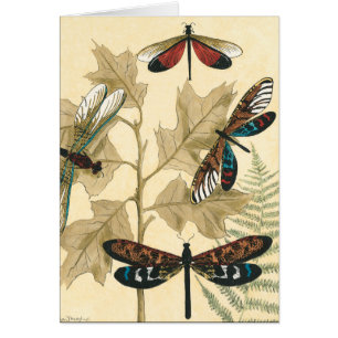 Libellules colorées flottant au-dessus du feuille