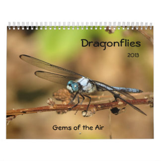 Libellules - gemmes du calendrier de l'air 2013