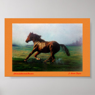 Libertad/Liberdade/Freedom Poster