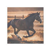 Liberté de mouvement