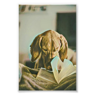 Librarian birthday gift photo print