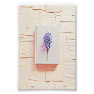 Librarian birthday gift photo print