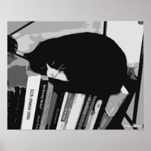 Library Cat Poster