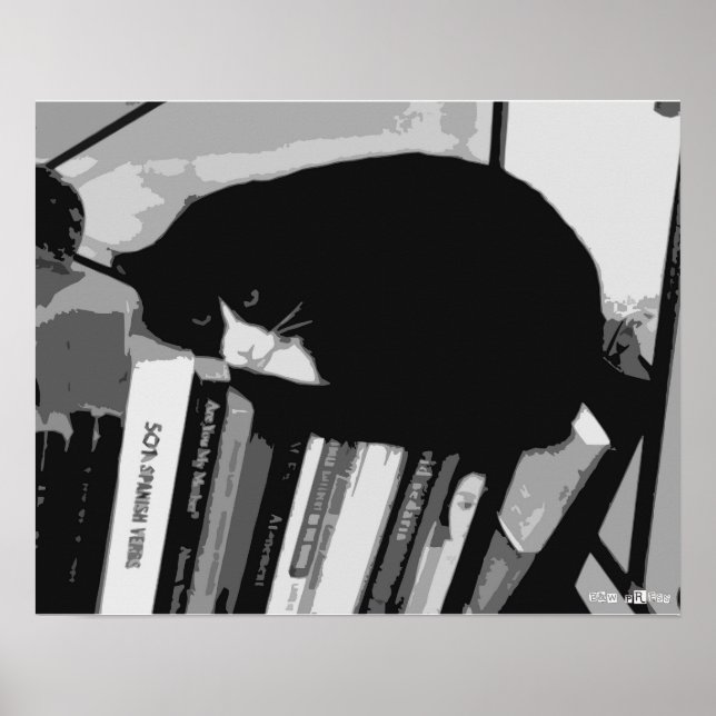 Library Cat Poster (Front)