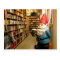 Library Gnome I