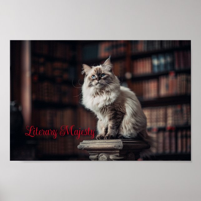 Library Majesty: Regal Ragdoll Cat Poster (Front)