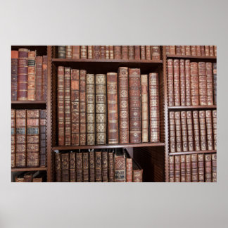 Library Poster