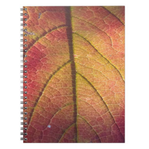 License Plate Frame Notebook
