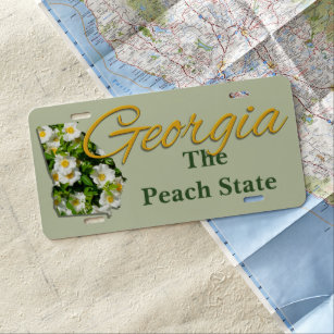 License Plate - GEORGIA