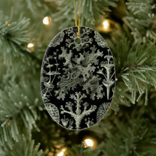 Lichen by Ernst Haeckel, Vintage Nature Plants Ceramic Ornament