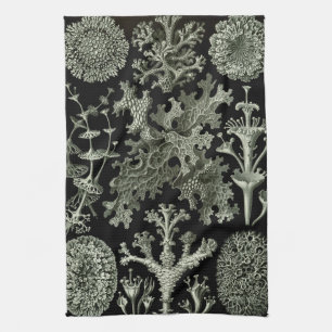 Lichen by Ernst Haeckel, Vintage Nature Plants Kitchen Towel