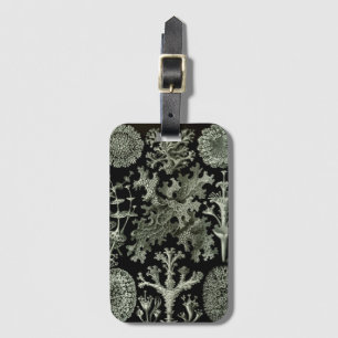 Lichen by Ernst Haeckel, Vintage Nature Plants Luggage Tag