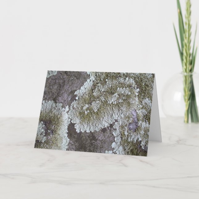 Lichen Card (Front)