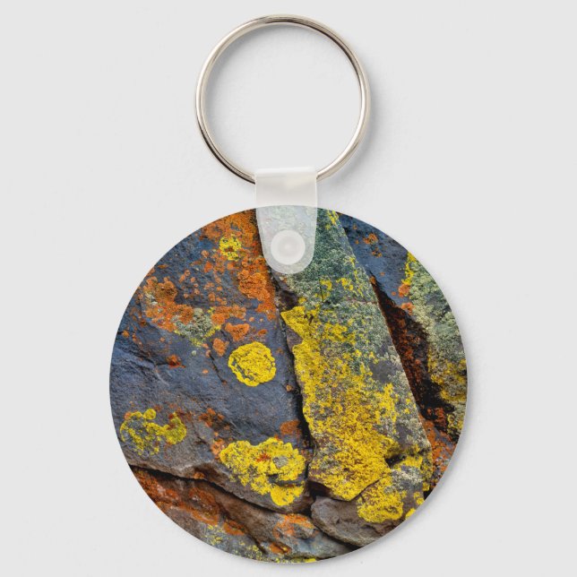 Lichen Covered Rocks Keychain (Front)