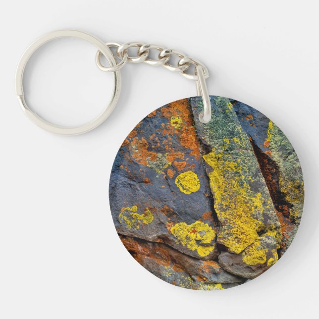 Lichen Covered Rocks Keychain (Front)