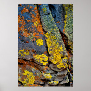 Lichen Covered Rocks Poster