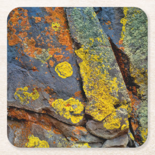 Lichen Covered Rocks Square Paper Coaster