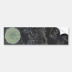 Lichen Mossy Circle Bumper Sticker