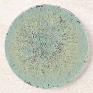 Lichen Mossy Circle Coaster
