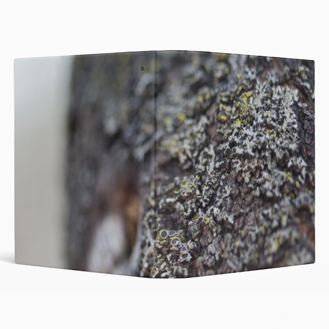 Lichen on Bark Binder (Background)