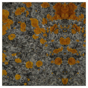 lichen on granite photo fabric