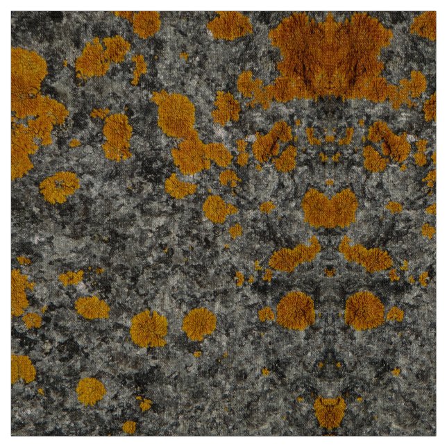 lichen on granite photo fabric (Swatch)