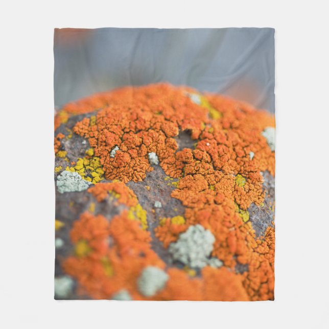 Lichen orange moss stone grey fleece blanket (Front)