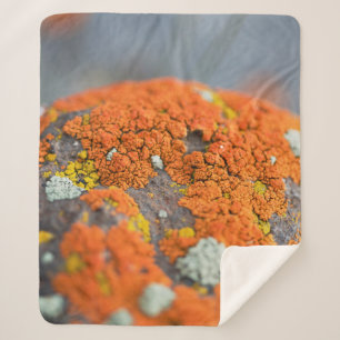 Lichen orange moss stone grey sherpa blanket