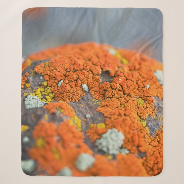 Lichen orange moss stone grey sherpa blanket (Front)