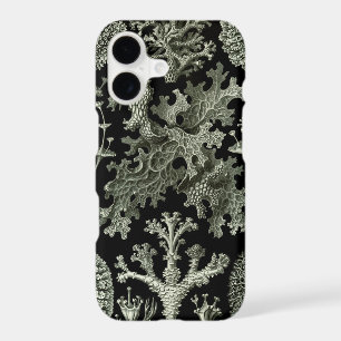 Lichen par Ernst Haeckel, Plantes de la nature vin