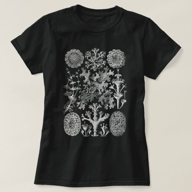 Lichenes Flechten  T-Shirt (Design Front)