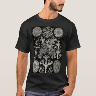 Lichenes (Thallophytes - Lichens) - Ernst T-Shirt