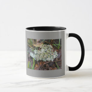 Lichens Mug