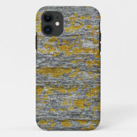 Lichens on granite stone