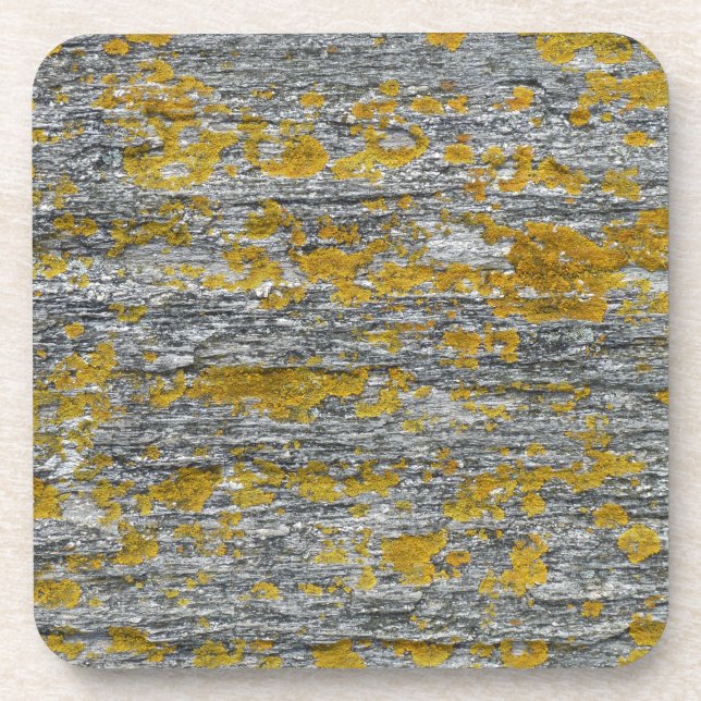 lichens sur pierre de granit coaster (Front)