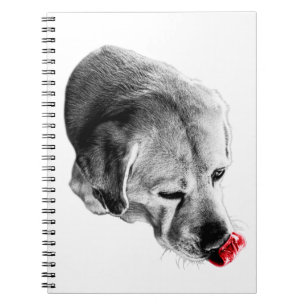 Lick of Inspiration Notebook