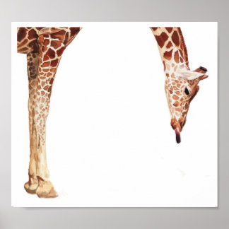 "Licker" Giraffe Wildlife Animal Watercolor Poster