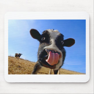 Lickin' cow mouse pad
