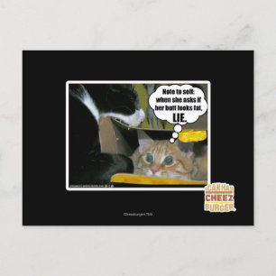 LIE POSTCARD