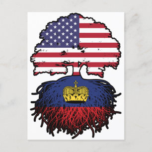 Liechtenstein American USA United States Postcard